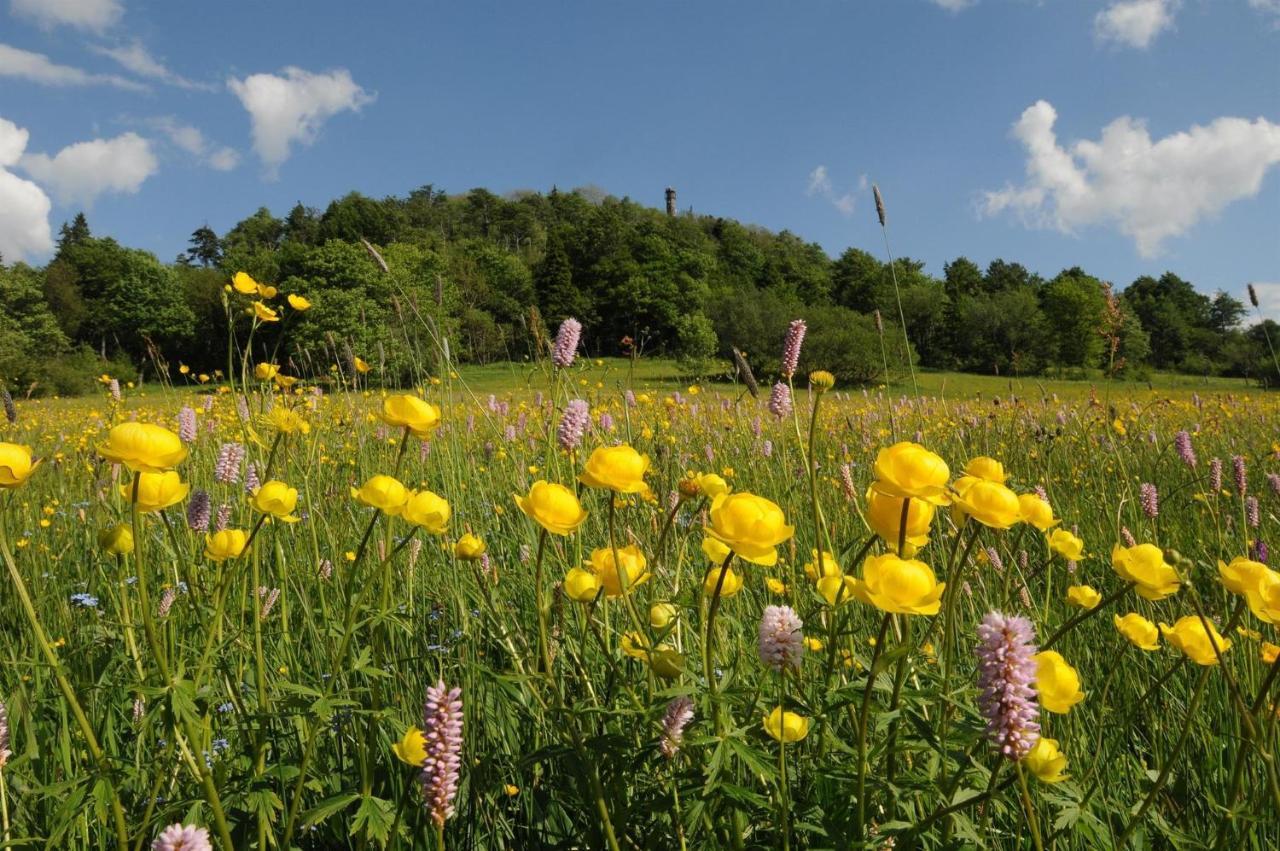 Biohof Seifert Διαμέρισμα Altenberg  Εξωτερικό φωτογραφία